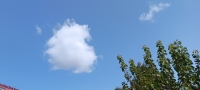 美丽的风景（一）